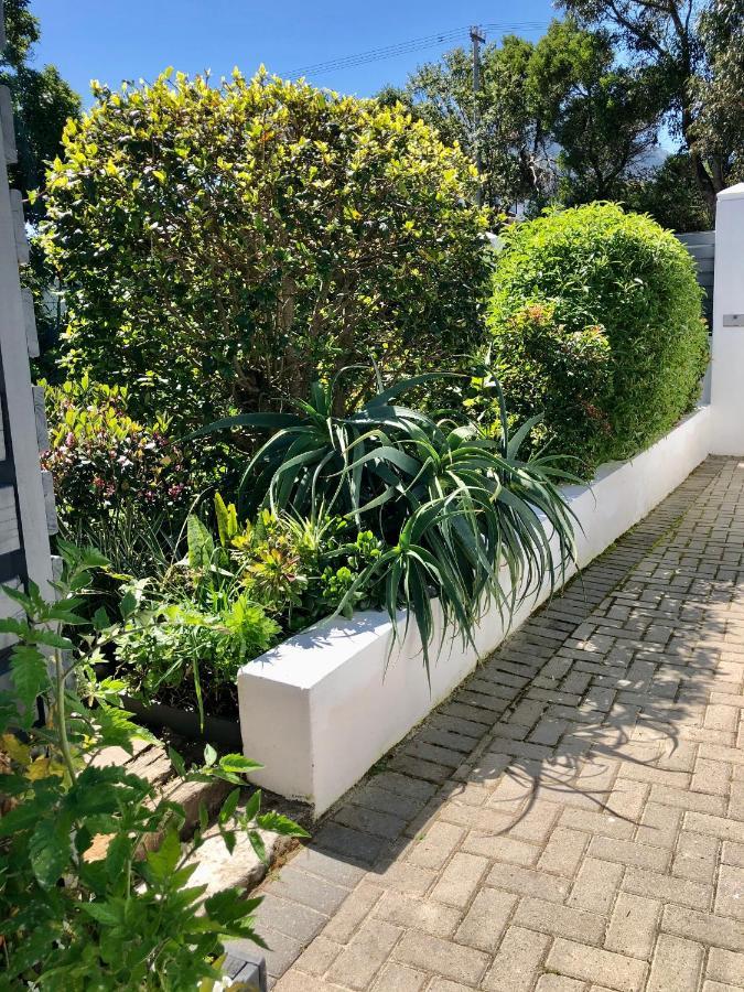 Studio On Albert, Hout Bay Bagian luar foto