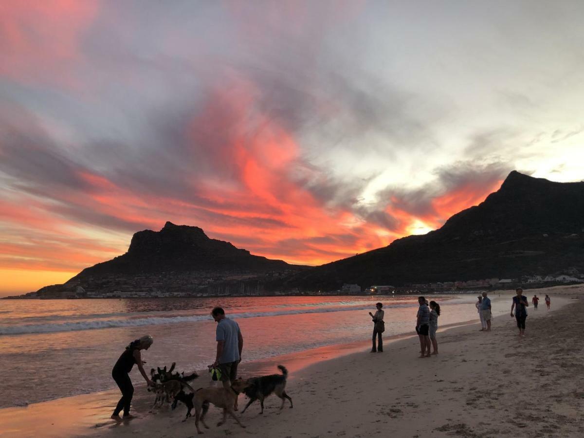 Studio On Albert, Hout Bay Bagian luar foto